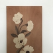 38x23x2cm