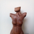 22x11x7cm